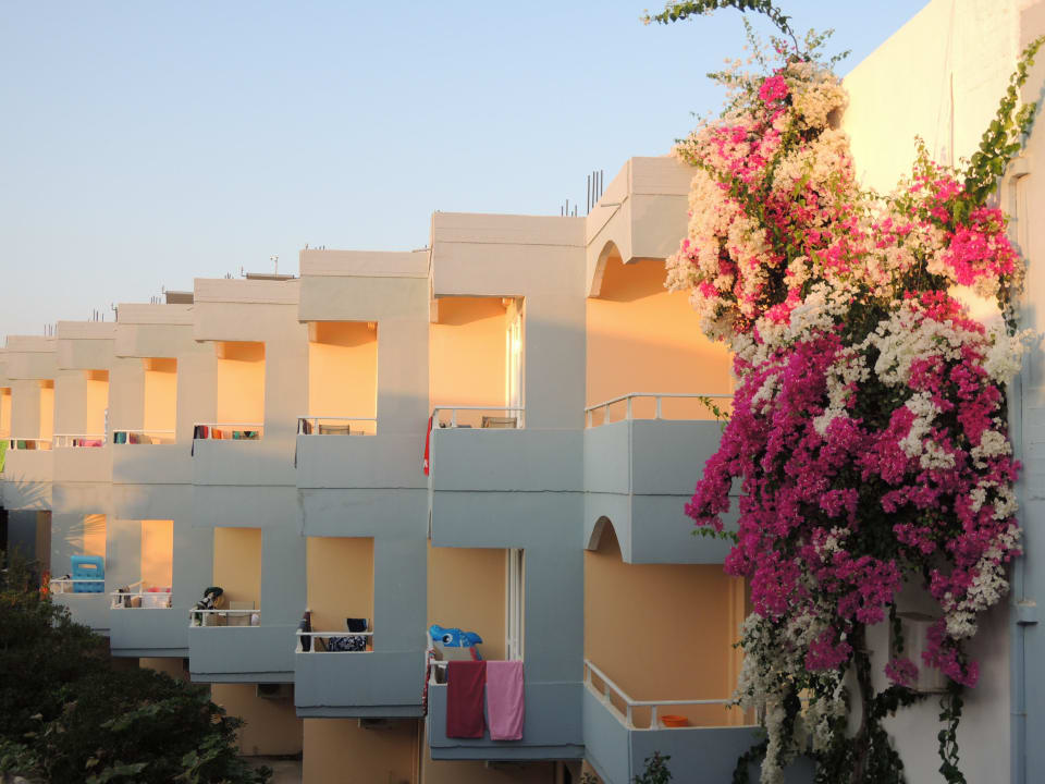 Hotelové balkóny a buganvilie Hotel Kathrin Beach