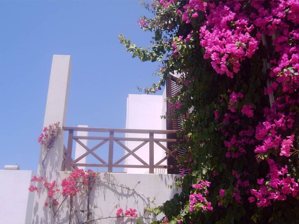 Schönheit pur Maritimo Beach Hotel