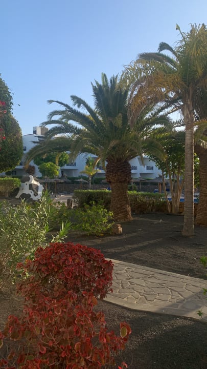 Gartenanlage allsun App.-Hotel Albatros