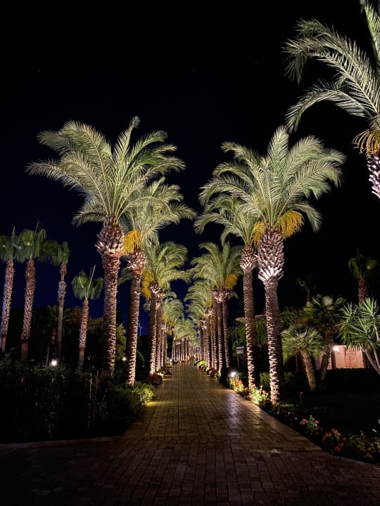 Gartenanlage TUI BLUE Palm Garden