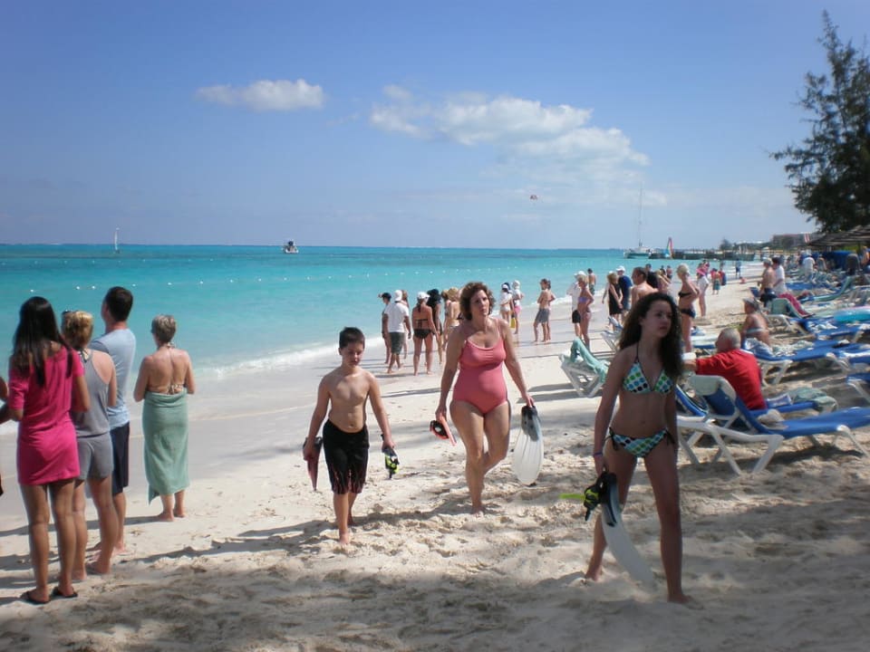 Sharkalarm Beaches Turks & Caicos