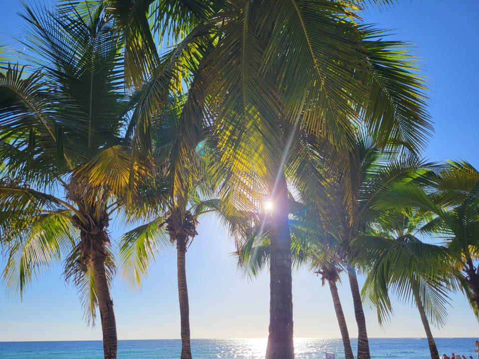 Strand Hotel Viva Dominicus Palace by Wyndham-All Inclusive Resort