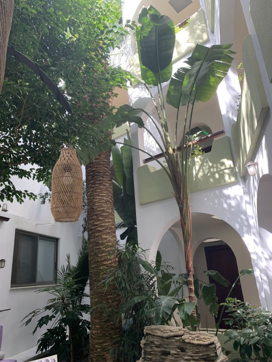 Lobby Alianthos Garden Hotel