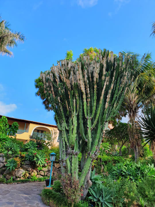 Außenansicht Hotel Quinta Splendida Wellness & Botanical Garden