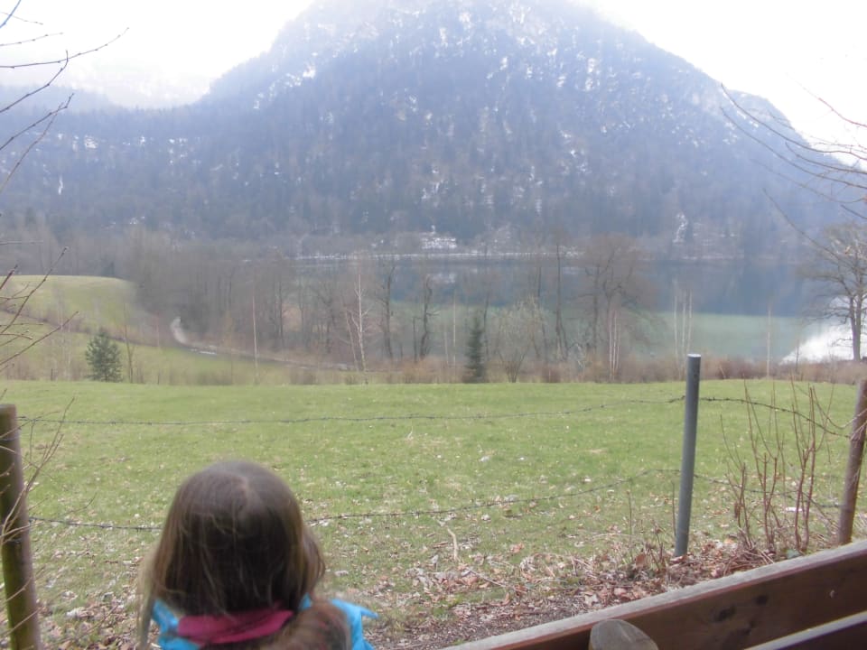 Blick auf den Thumsee Hotel Seeblick