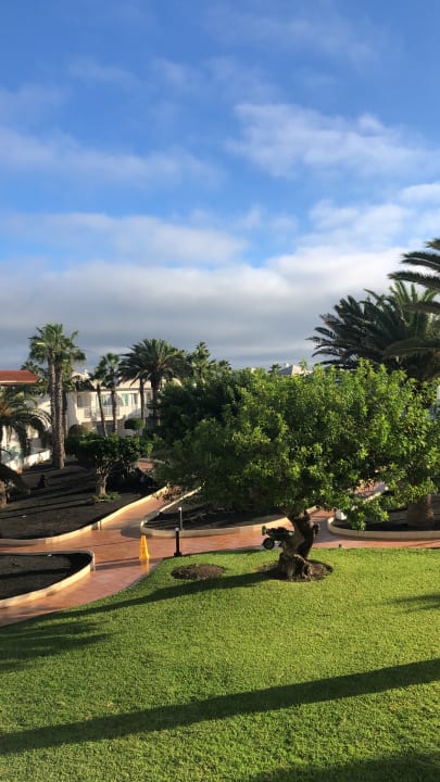 Gartenanlage H10 Ocean Suites