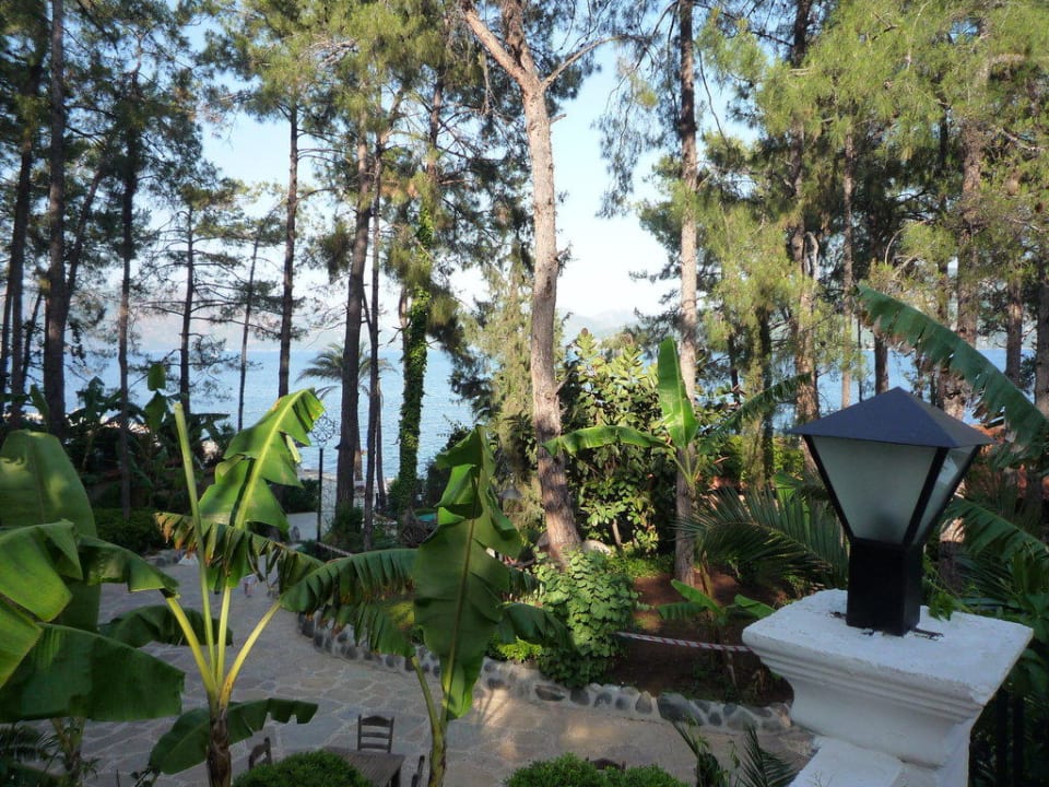 Сад, сквер Grand Yazici Club Marmaris Palace