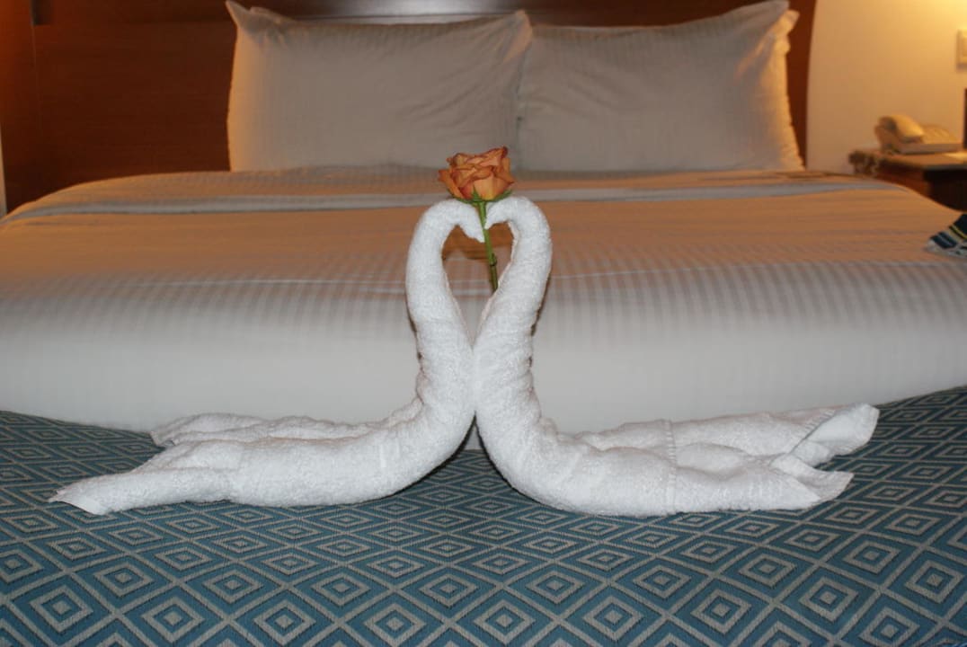 Liebende Schwäne Hotel Le Meridien Al Aqah Beach Resort