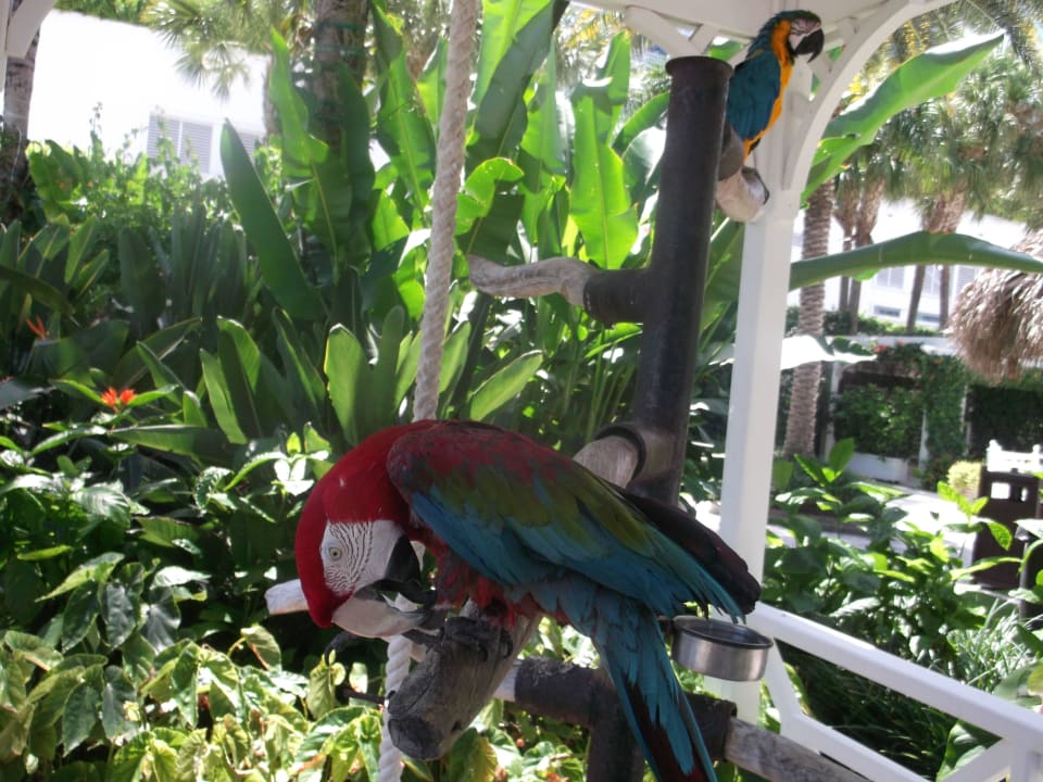 Aras The Palms Hotel & Spa