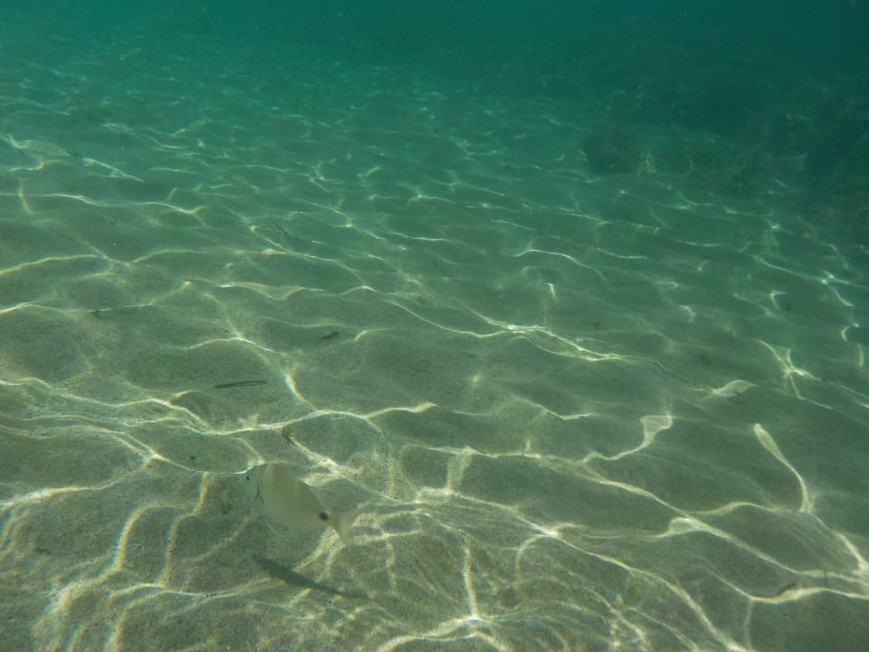 Strand allsun Hotel Carolina Mare