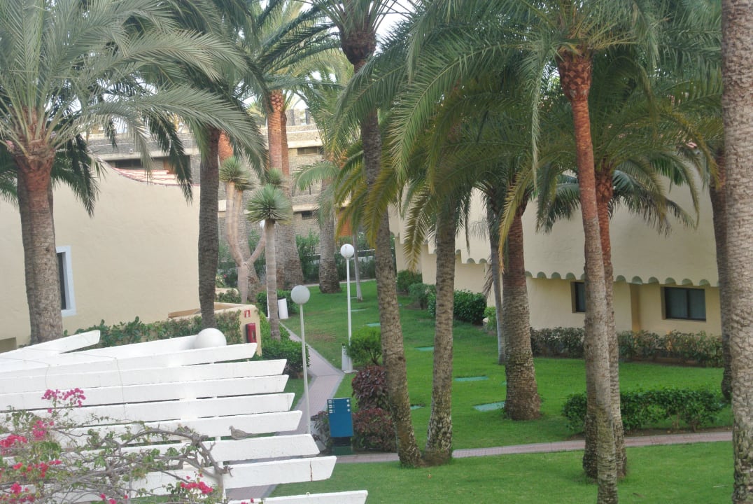 Hotel Bungalows Hotel Riu Palace Palmeras