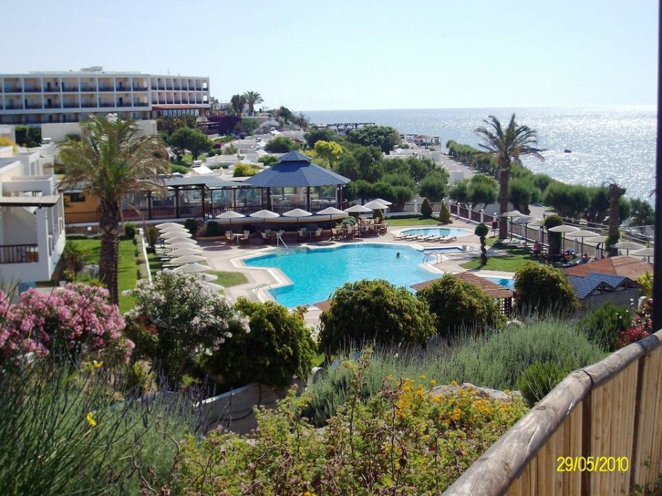 Toller Blick auf Garten und Taverne Dimitra Beach Hotel & Suites