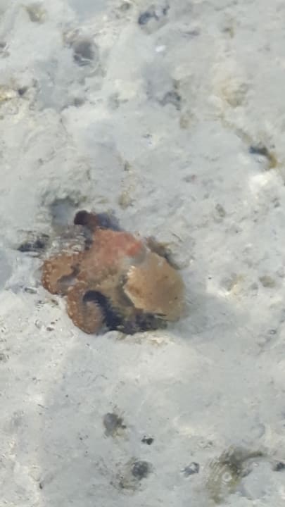 Strand Casa Mare Resort