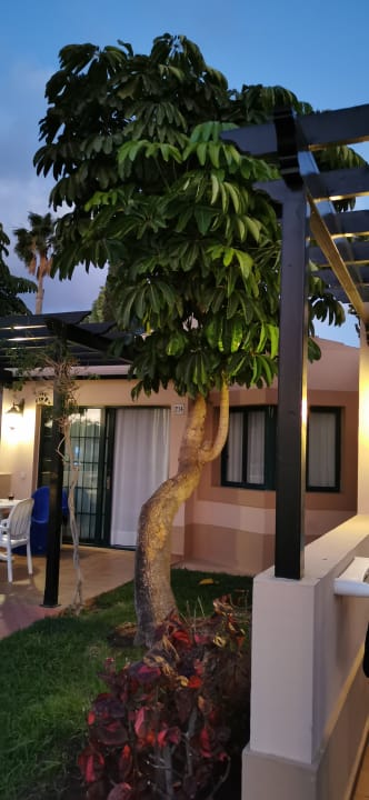 Garten allsun Hotel Esplendido