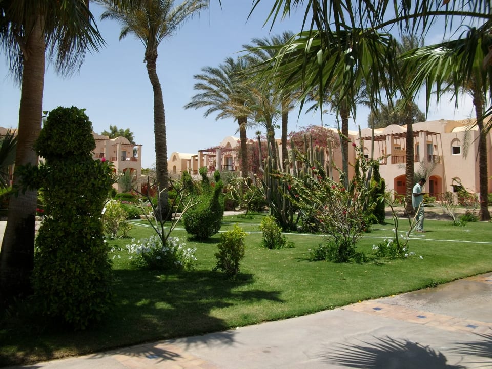 Gartenanlage Jaz Makadi Oasis Resort