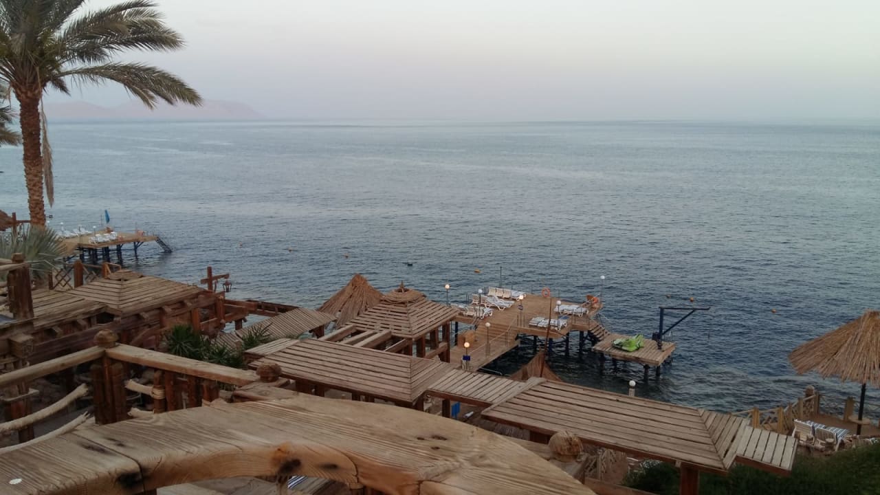 Ausblick Pickalbatros Golf Beach Resort