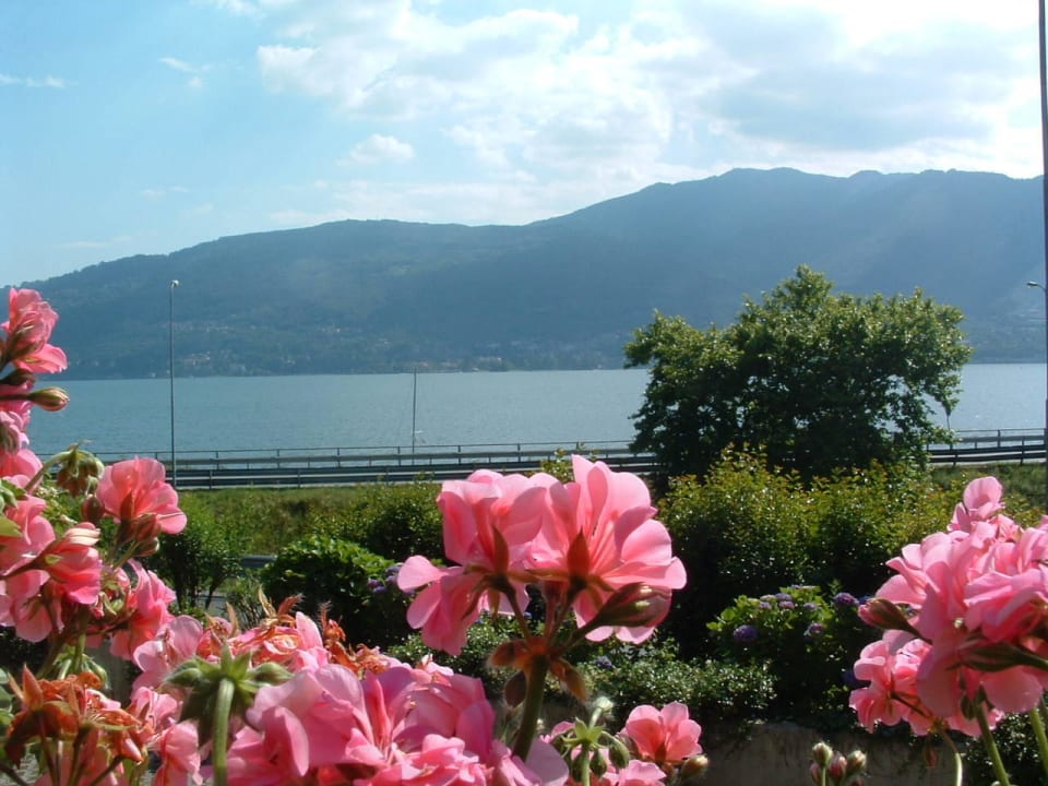 Vista dal giardino Residence Tre Ponti