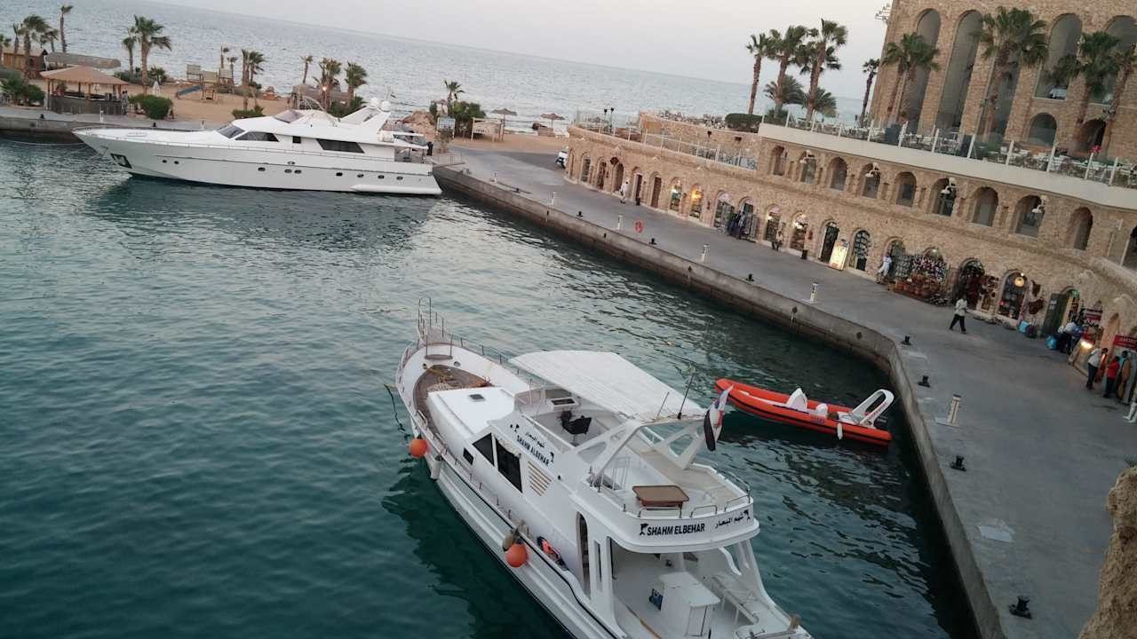 Вид из окна Pickalbatros Citadel Resort