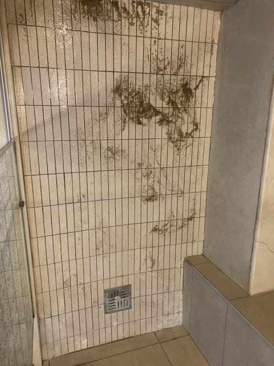 Zimmer Well Palace Side