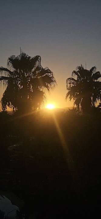 Ausblick Calimera Sirens Beach