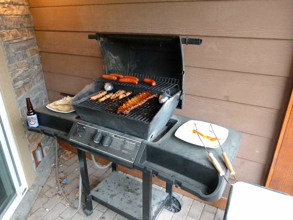 Grill  Hotel Falcon Crest Lodge