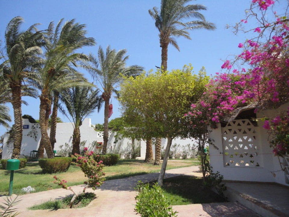 Ogród Shams Safaga Resort