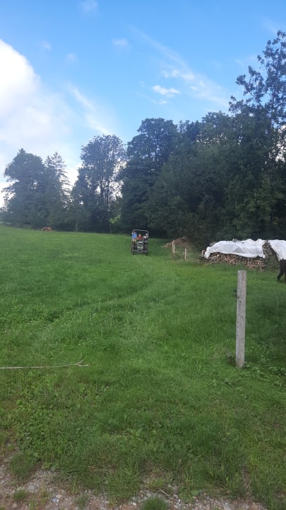 Gartenanlage Ferienhof Singer