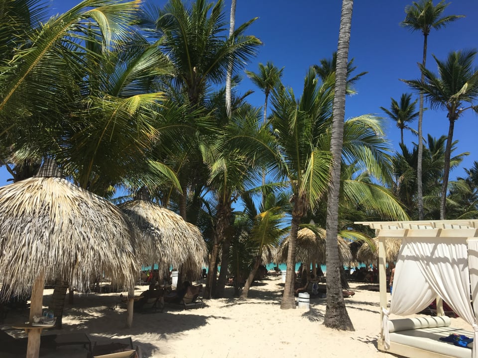 Strand TRS Turquesa Hotel - Adults only