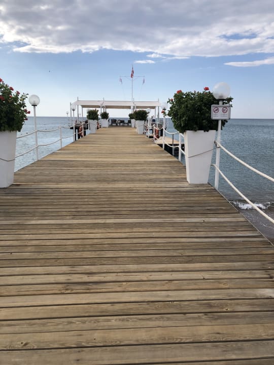Strand Lara Barut Collection