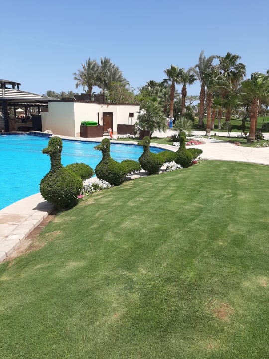 Gartenanlage Steigenberger ALDAU Beach Hotel