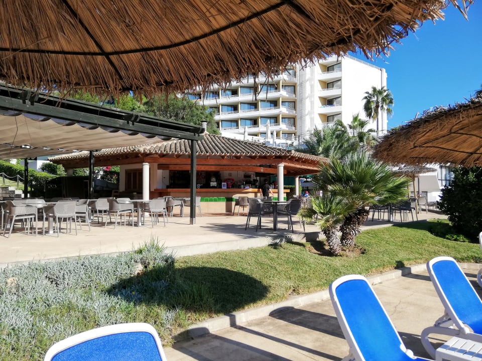 Gartenanlage Hotel Exagon Park