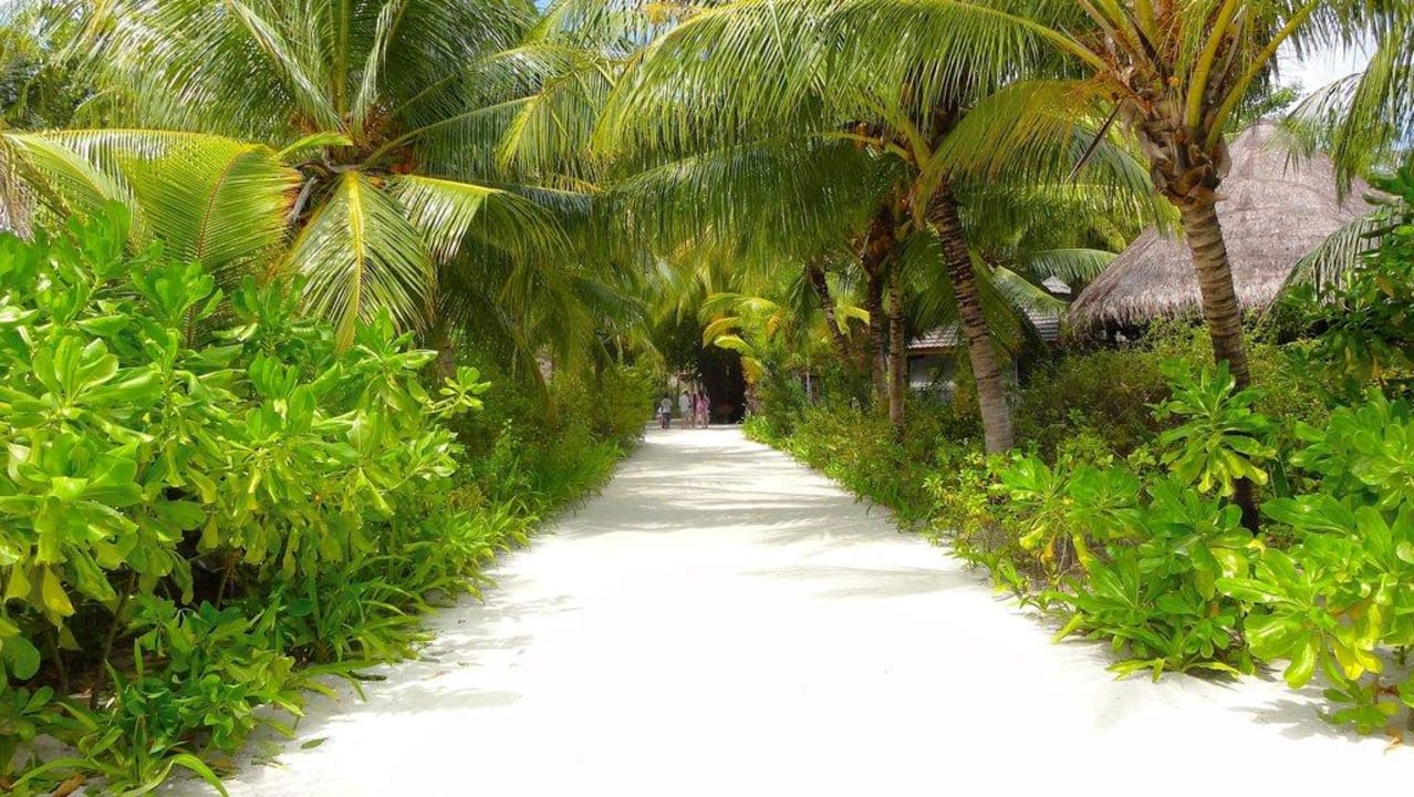Ausblick vom Jetty Kuredu Kuredu Island Resort & Spa