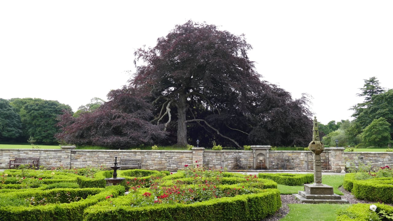 Garten Carberry Tower Hotel