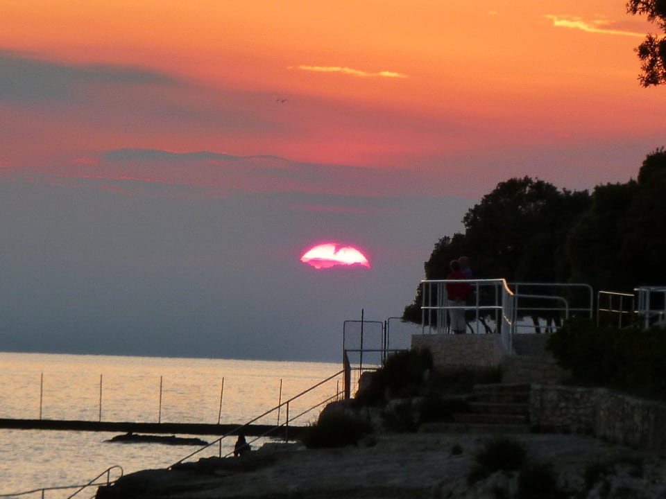 Naturist Fkk Solaris Camping Resort By Valamar Tar Vabriga • Holidaycheck Istrien Kroatien 1727
