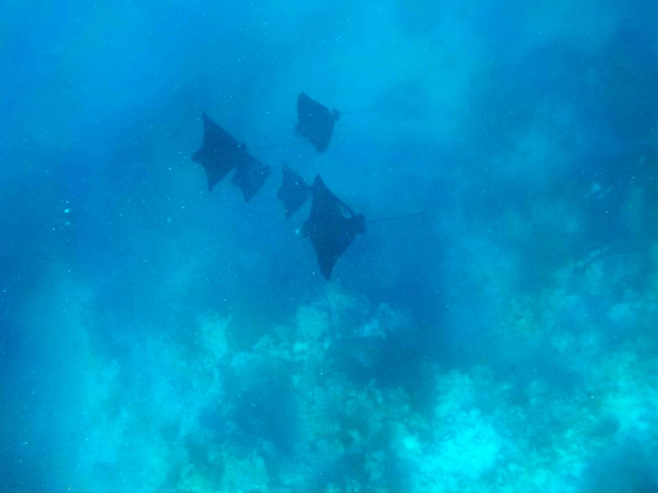 Strand Adaaran Club Rannalhi - All Inclusive