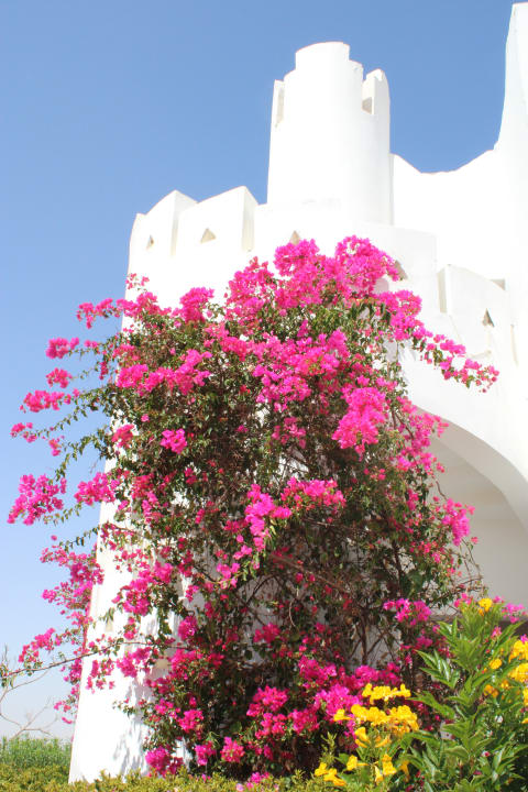 Außenansicht Three Corners Equinox Beach Resort