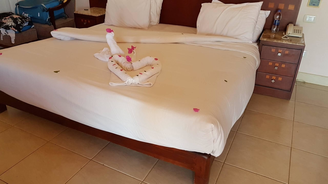 Bett Demo Shams Prestige Abu Soma-Adults Only