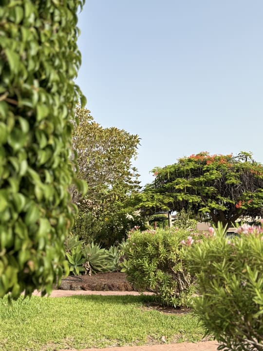 Gartenanlage allsun Hotel Esplendido
