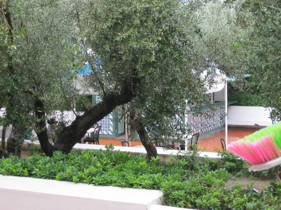 Poolbar Diar Lemdina Hotel
