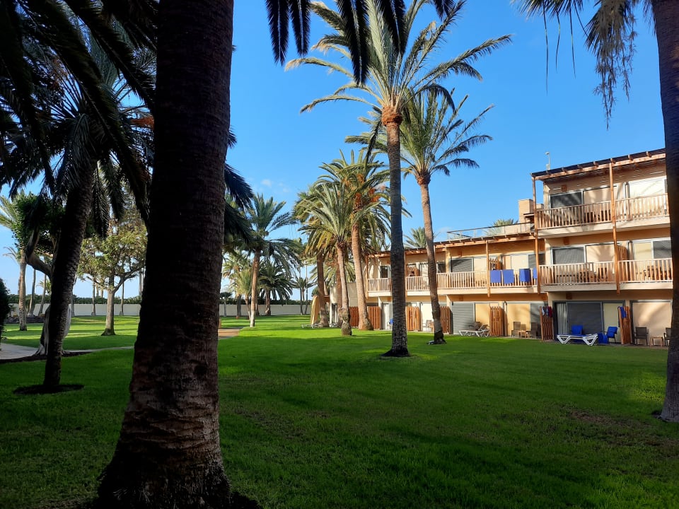 Gartenanlage ROBINSON JANDIA PLAYA