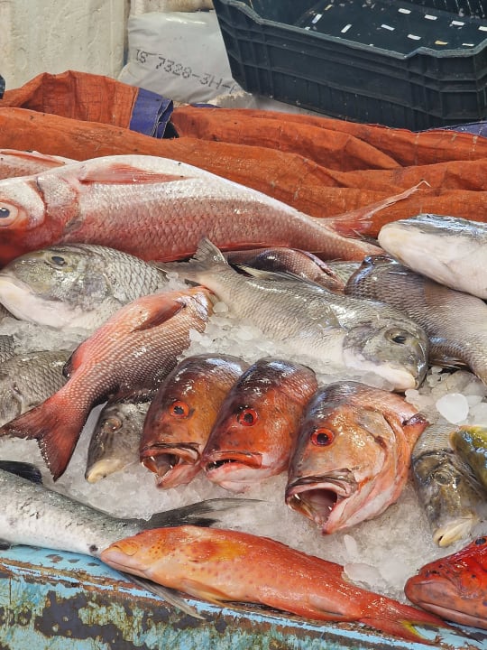 Sonstiges Iberotel Makadi Beach