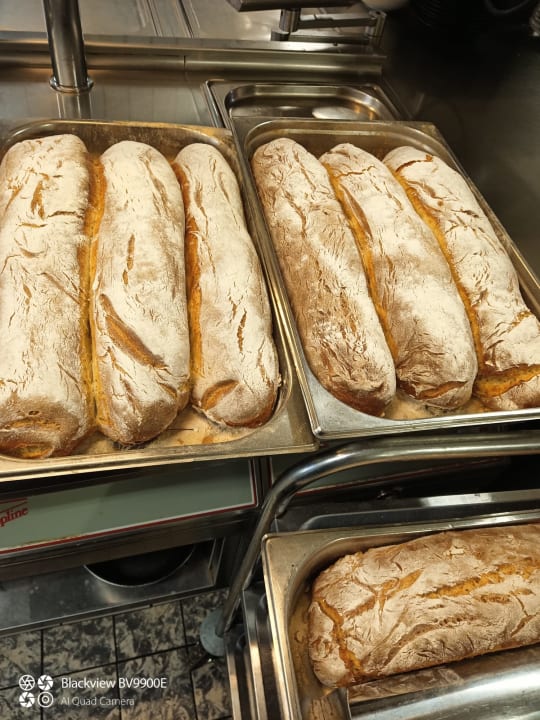 Gastro Bodensee Naturhotel Mohren