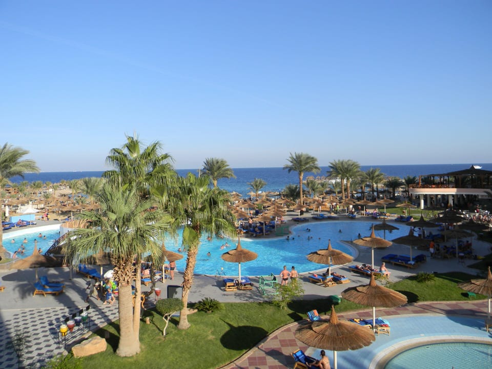Вид из окна Beach Albatros Resort