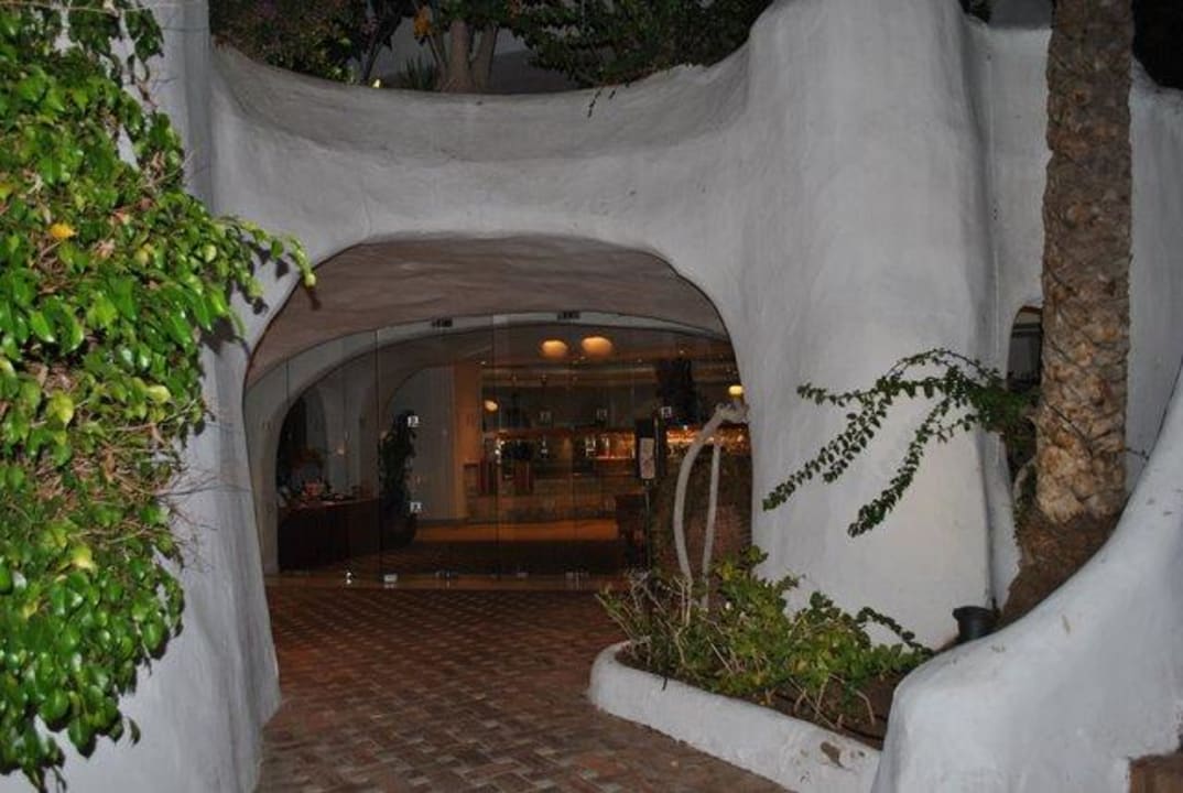 Nachts im Garten Dreams Jardín Tropical