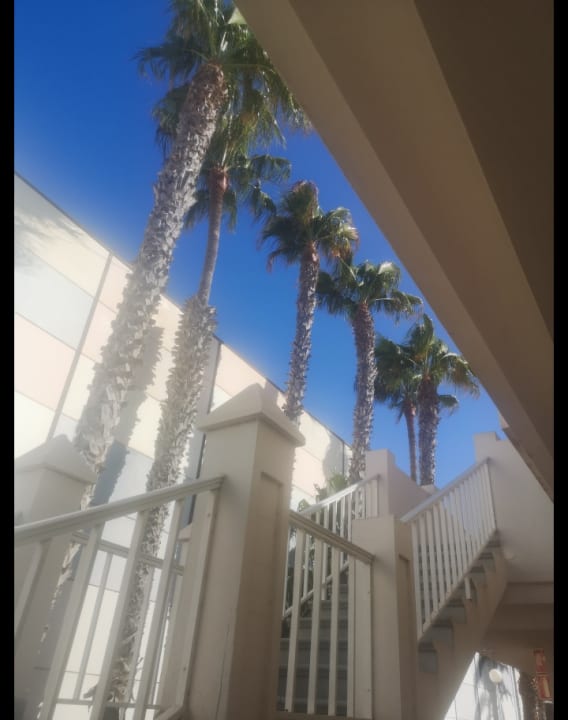 Ausblick H10 Ocean Suites