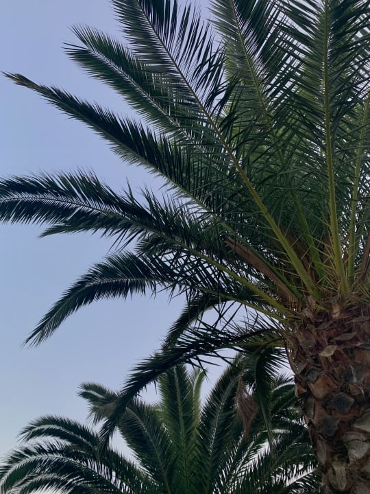 Außenansicht Smy Kos Beach & Splash