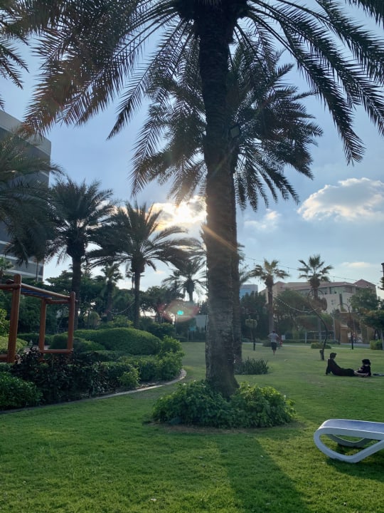Gartenanlage Grand Hyatt Dubai