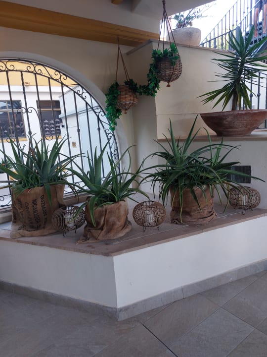 Gartenanlage FLOR los Almendros Hotel