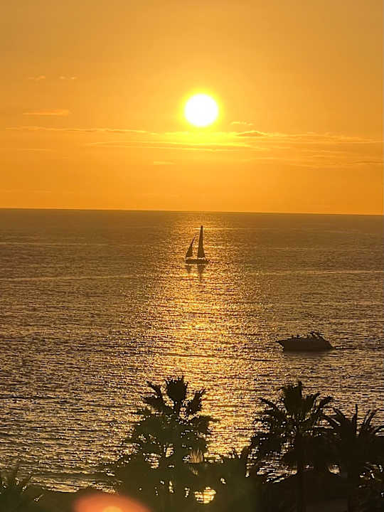 Ausblick Hotel Riu Palace Tenerife