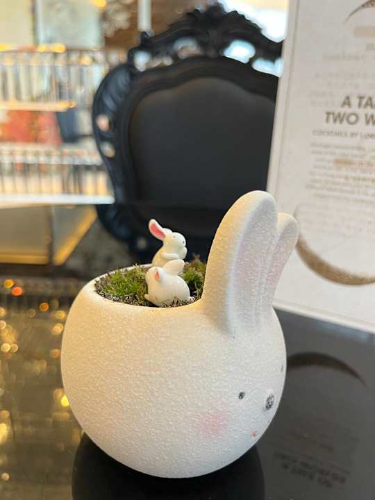 Sonstiges Hotel Mira Moon